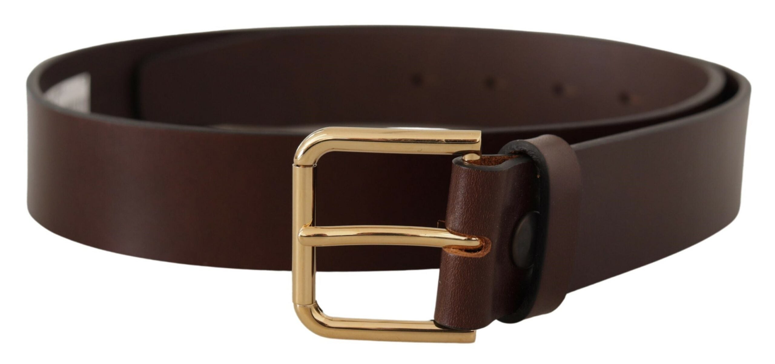 7: Dolce & Gabbana Brown Polished Leather Gold Tone Metal Buckle Belt