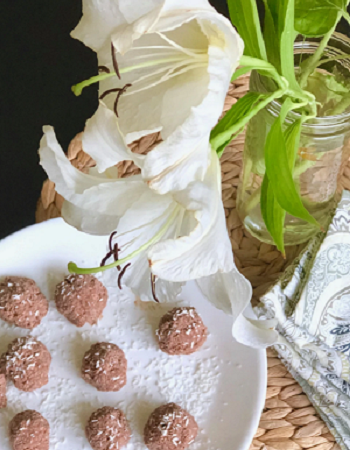 protein balls collagen cranberry supplement recipe