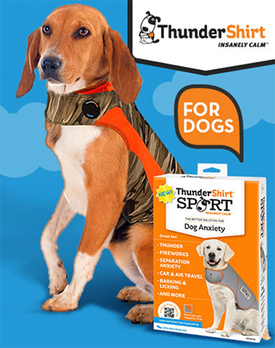 ace bandage thundershirt