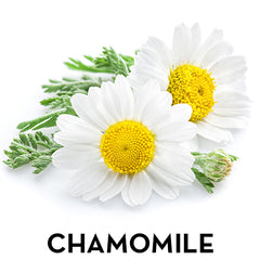 Chamomile