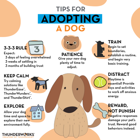 tips for adopting a dog