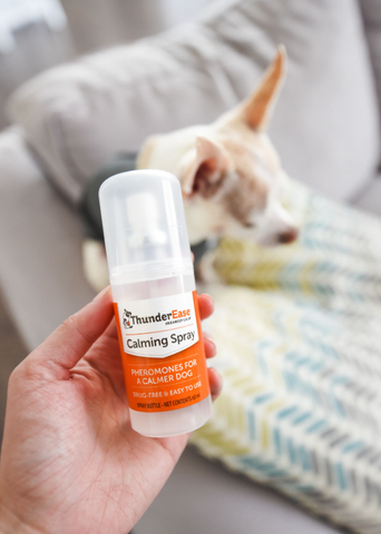 thunderease for dogs calming spray