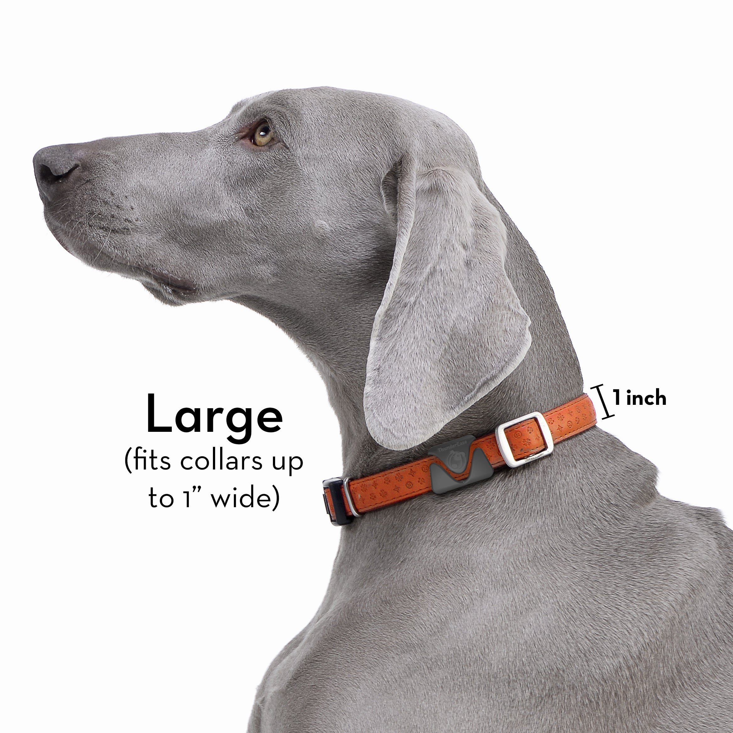 thunderease dog calming collar