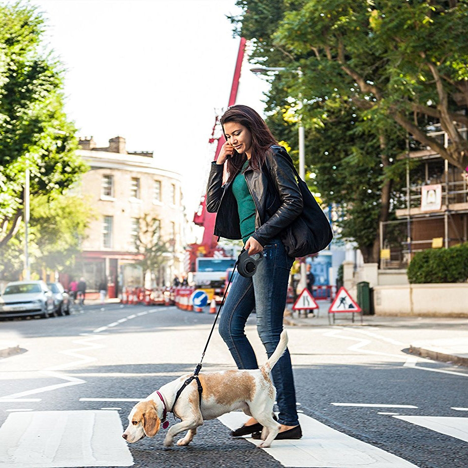 xl retractable dog leash