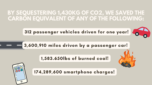 Jack59 is saving the carbon equivalent of 312 passenger vehicles driven for one year and more