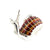 Saturno Snail Large-Collectables-Goviers