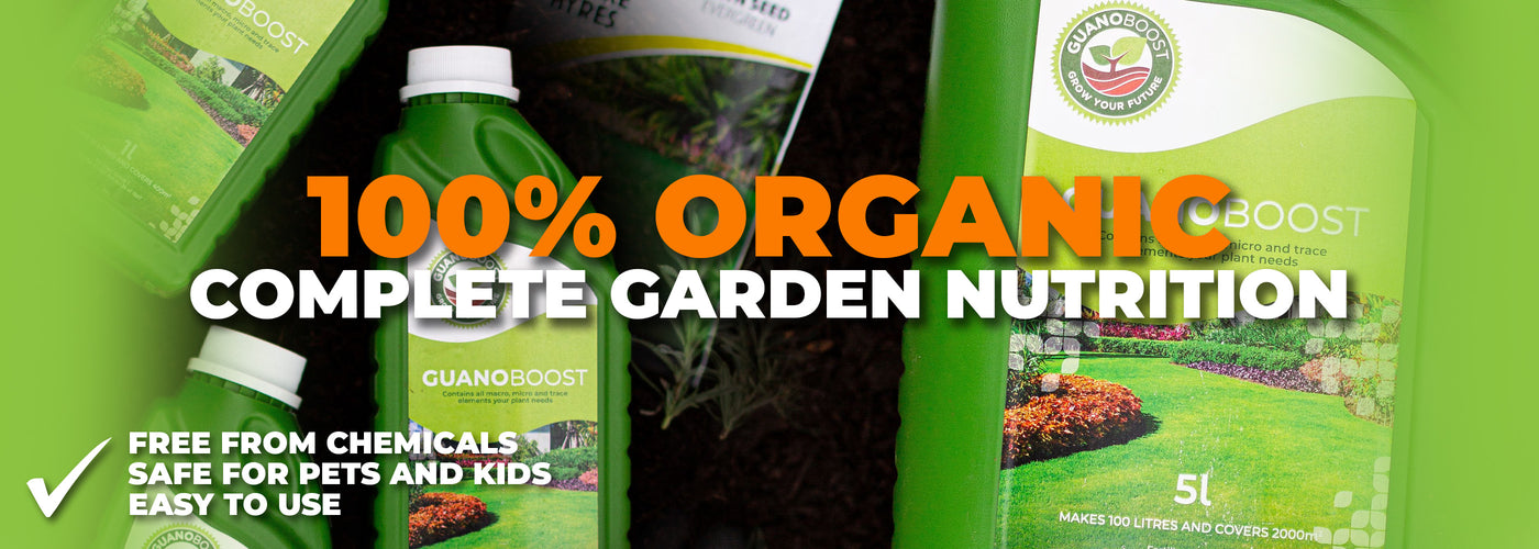 GuanoBoost - 100% organic fertiliser
