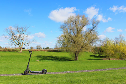 electric scooters adult