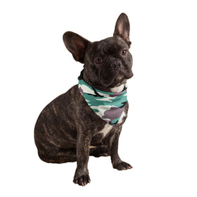 Camouflage Dog Bandanas, Harness Camouflage Dogs