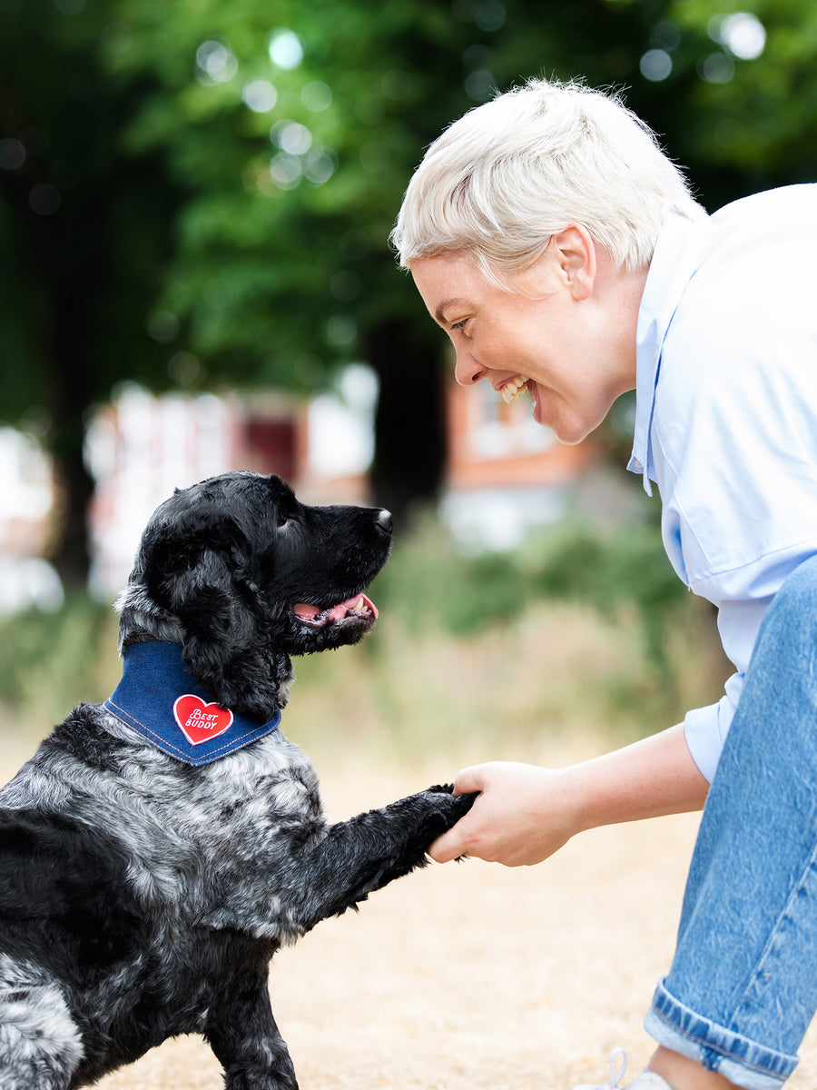 Best Buddy iron-on patch for pets