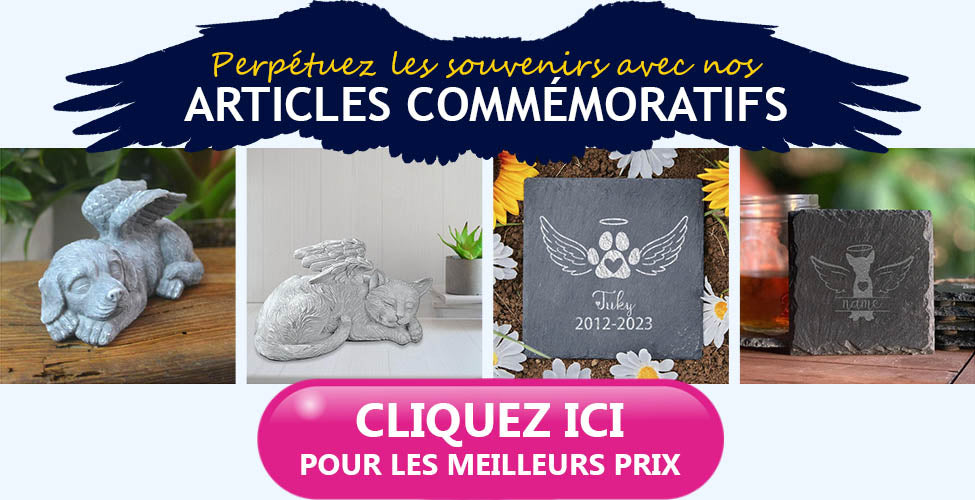 23Commemoratifs