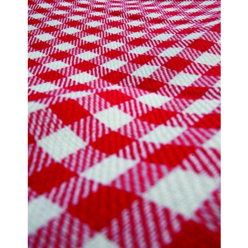 red and white picnic blanket