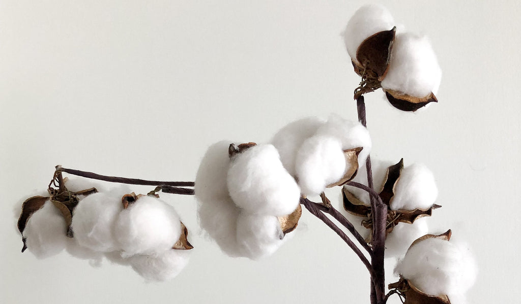 De mest bæredygtige tekstiler | Læs vore blogindlæg på g-m.dk – & Metervarer