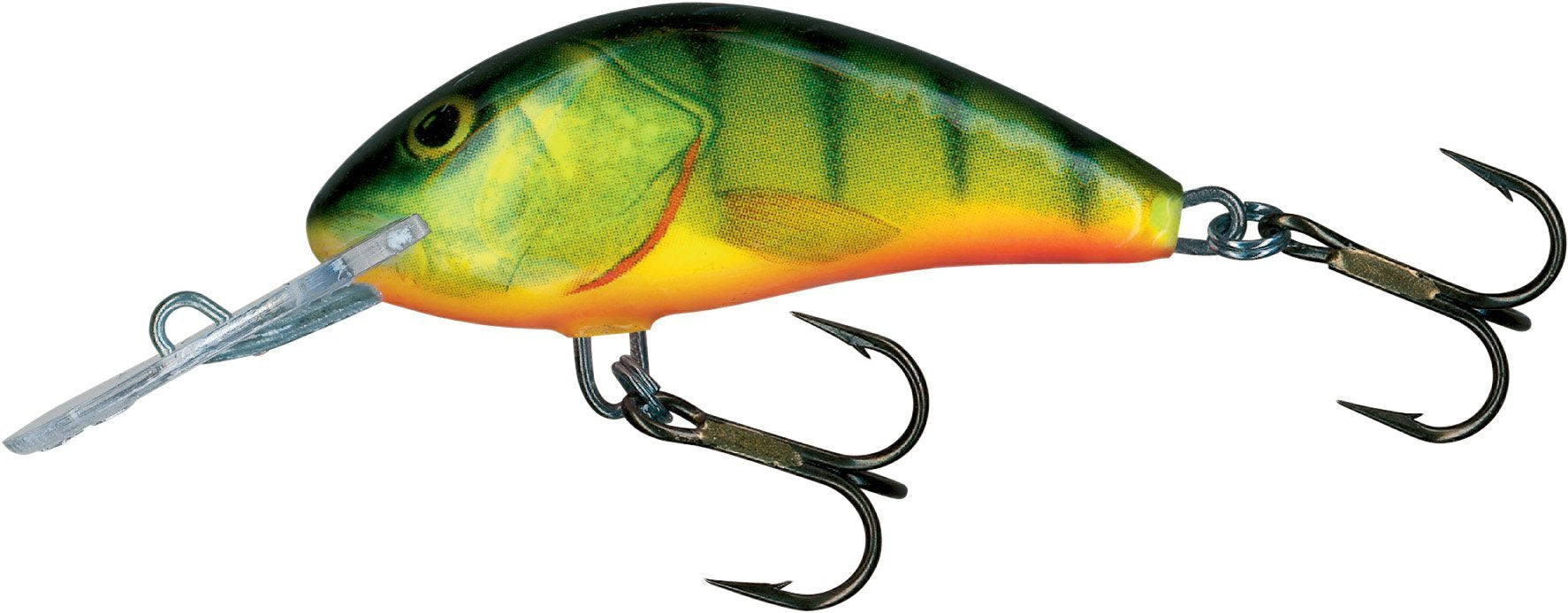 3.5 Hot Perch Rattlin Hornet
