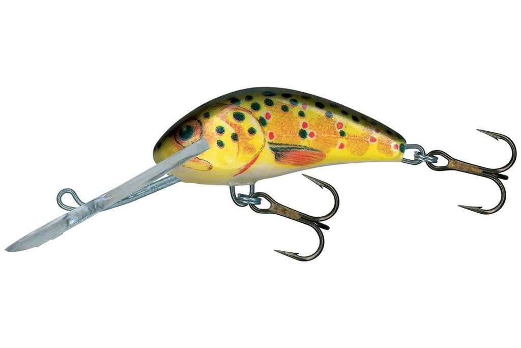 Supernatural Shiner Rattlin Hornet – Big Eye Spinnerbaits