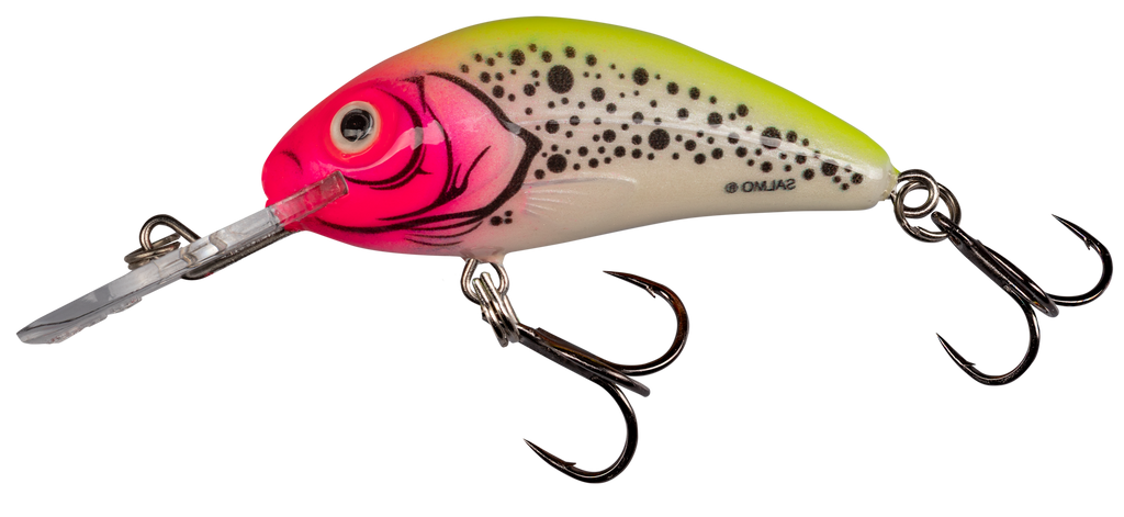 Salmo Rattlin Hornet lure crankbait Hot Perch HP buy by Koeder Laden