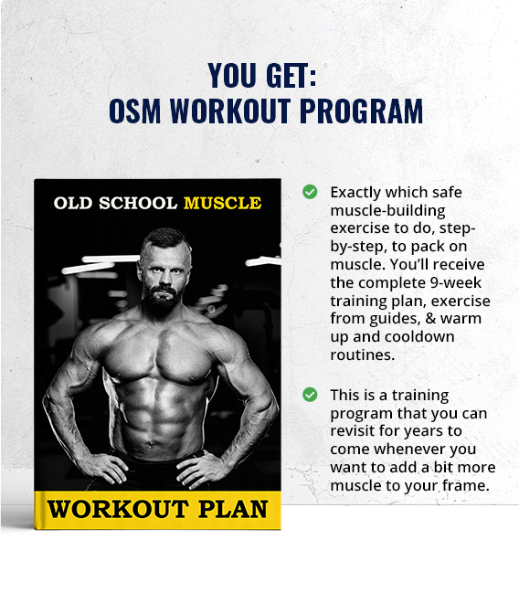 strength building program pdf