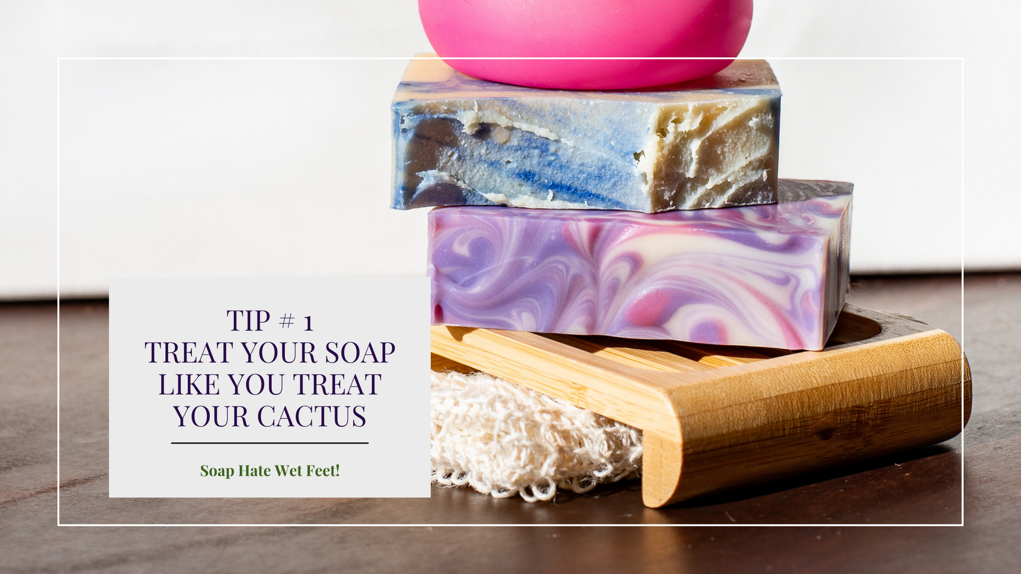 Use a zero waste soap dish