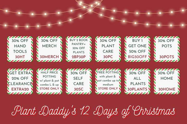 Plant Daddy's 12 Days of Christmas  30% OFF HAND TOOLS 30HT  30% OFF MERCH 30MERCH  BUY 2 BOOK PANTRY= 30% OFF PLANTS 2BP30P  30% OFF PLANT CARE 30PC  30% OFF SELF CARE 30SC  30% OFF ALL PLANTS 30PLANTS  FREE POTTING with plant & pot combo up to medium STORE ONLY  HALF PRICE POTTING w/ plant & pot combo L & up STORE ONLY  BUY 1 GET ONE 50% OFF B1G50OFF  GET EXTRA 20% OFF CLEARANCE EXTRA20  30% OFF POTS 30POTS  30% OFF HOME 30HOME