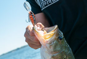 Action Photography: ProFish Crank Bait performing IRL 3