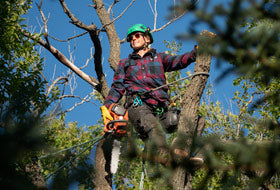 Action Photography: Unisex Timber Insulated Flannel Jacket performing IRL 2