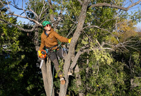 Action Photography: Unisex Roughneck Canvas Jacket performing IRL 4