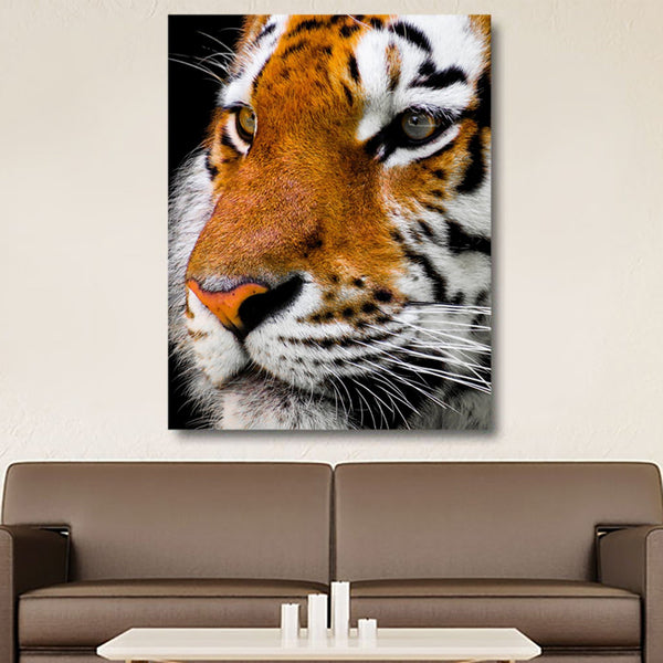 Tiger Images Pictures Of Tigers For Walls Wallpaper Photos Photography ...