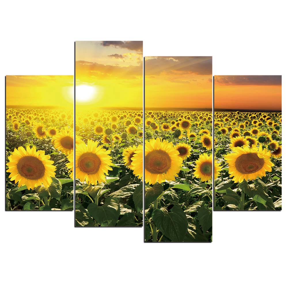Sunflower Field Sunset Sunrise Nature Framed 4 Piece Flower Canvas Wal ...