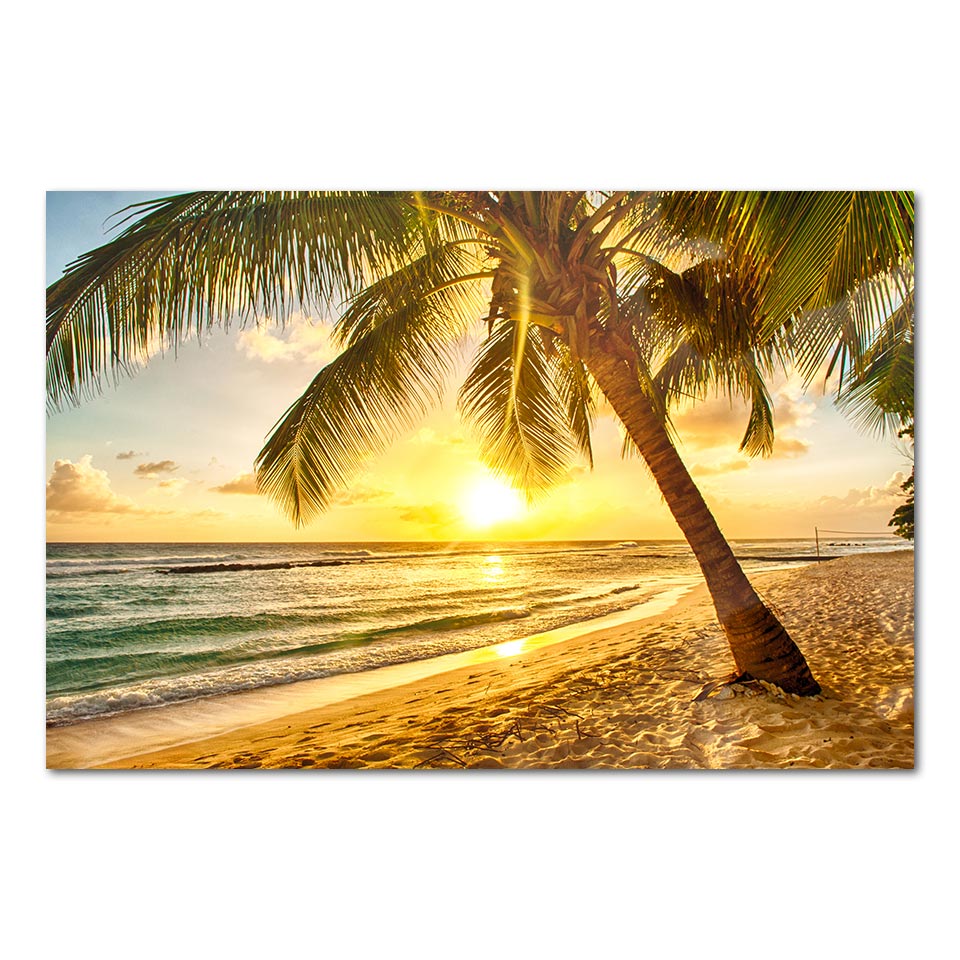 Tropical Ocean Beach Sunrise Sunset Seascape Framed 1 Panel Piece Canv ...