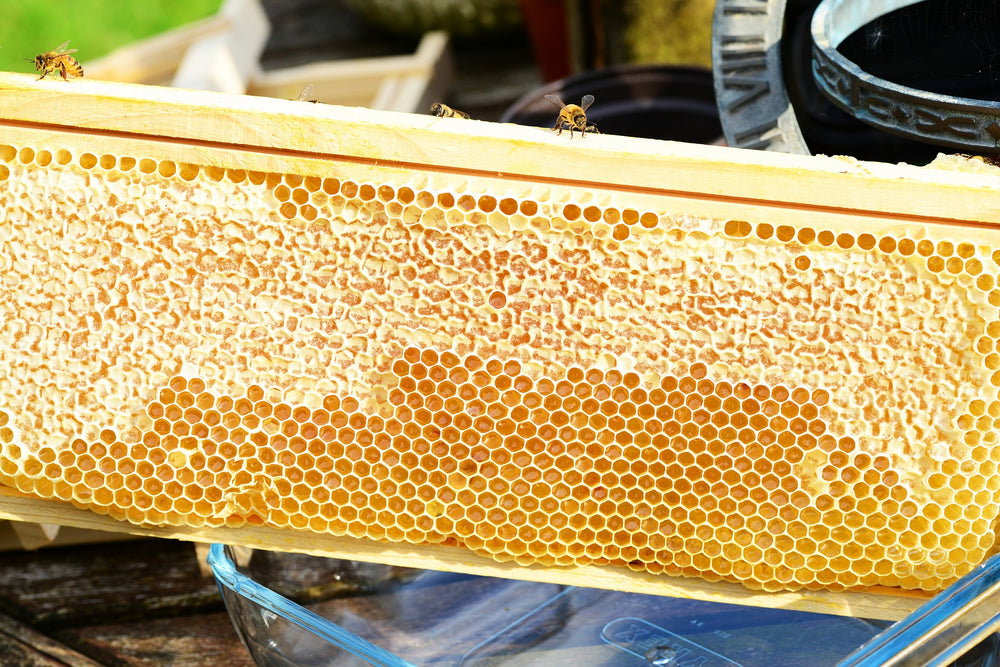 Honeycomb: BeeHappy's Natural Sweetness in Every Cell