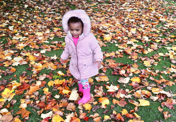 Child playing in leaves