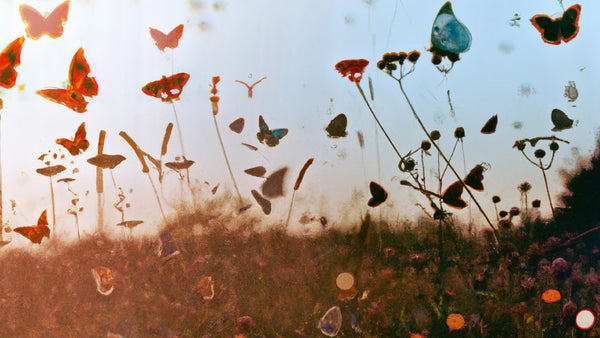 A rendering of butterflies in a field of wildflowers.