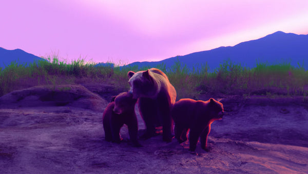 A rendering of a mother bear with two cubs at sunset.