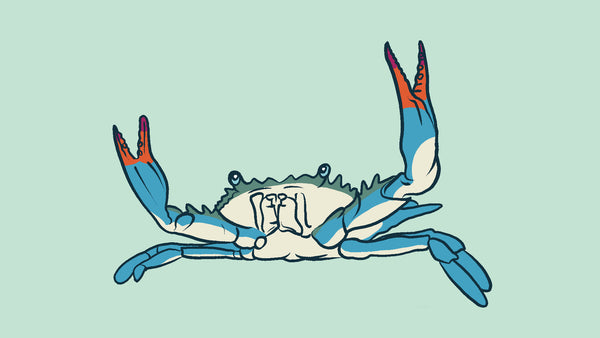 An illustration of a single blue crab