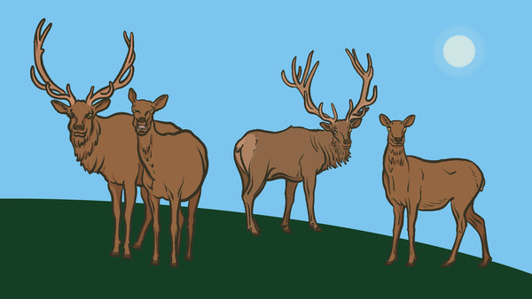An illustration of four elks standing on a green hill against a blue sky.