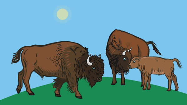 An illustration of a bison family.