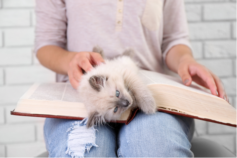 Woman with white cat scretched out on her lap