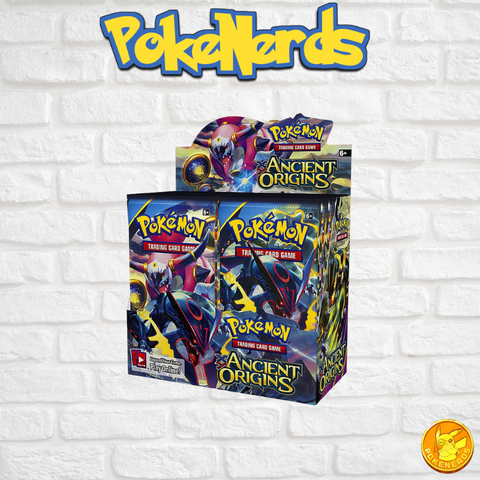 Pokemon Charizard and Dragonite Model Kit – PokeNerds