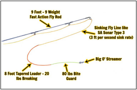 What equipment should be used for fly fishing for pike – Kylebooker