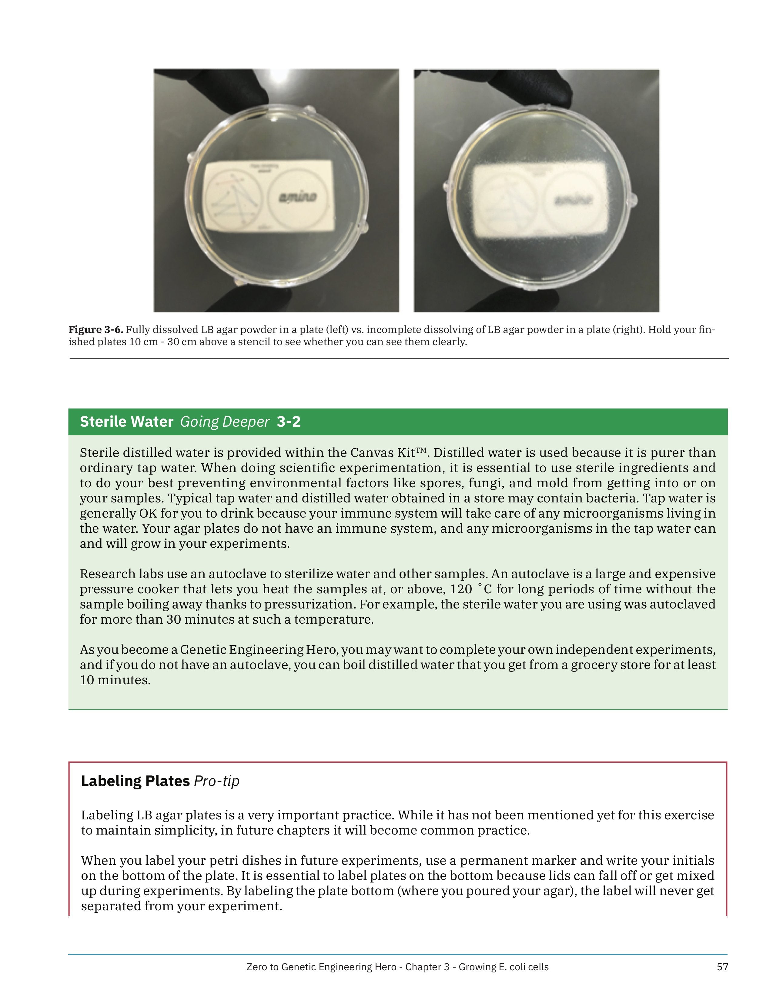 Zero to Genetic Engineering Hero Beginners guide book Screenshot 8