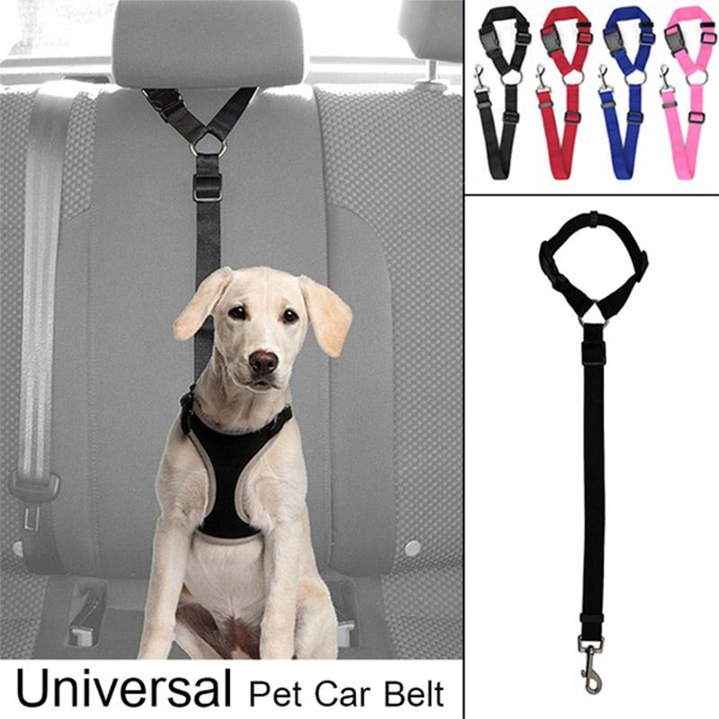 dog car belt