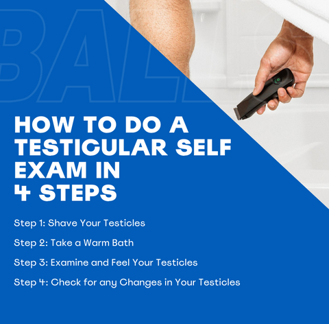 How To Do A Testical Exam in 4 Steps