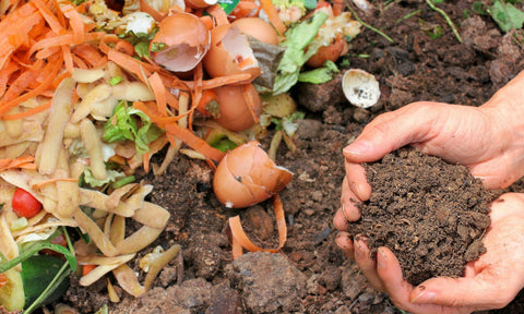 Outstanding Foods How to Make Compost From Kitchen Waste