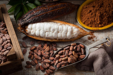 Outstanding Foods: Cacao vs. Cocoa: Does It Matter?