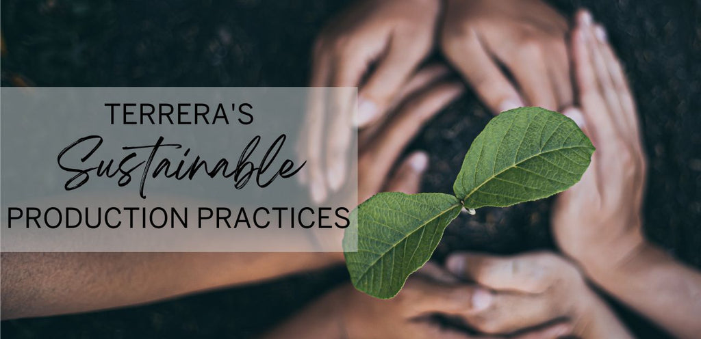 Pairs of hands encircle a growing plant. Title text on the left reads, "Terrera's Sustainable Production Practices."