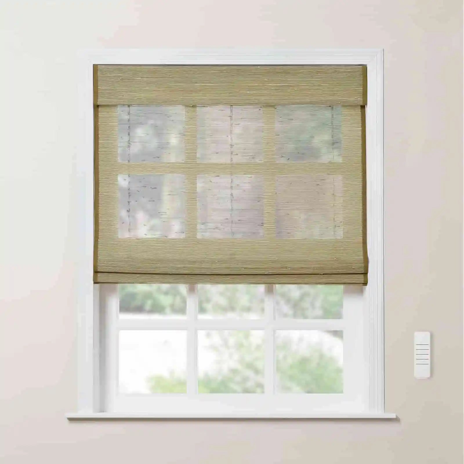 Series P Motorized Bamboo Woven Window Shades by Rae