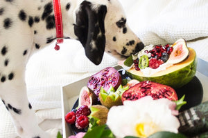 Can Dogs Eat Strawberries Are Strawberries Safe For Dogs