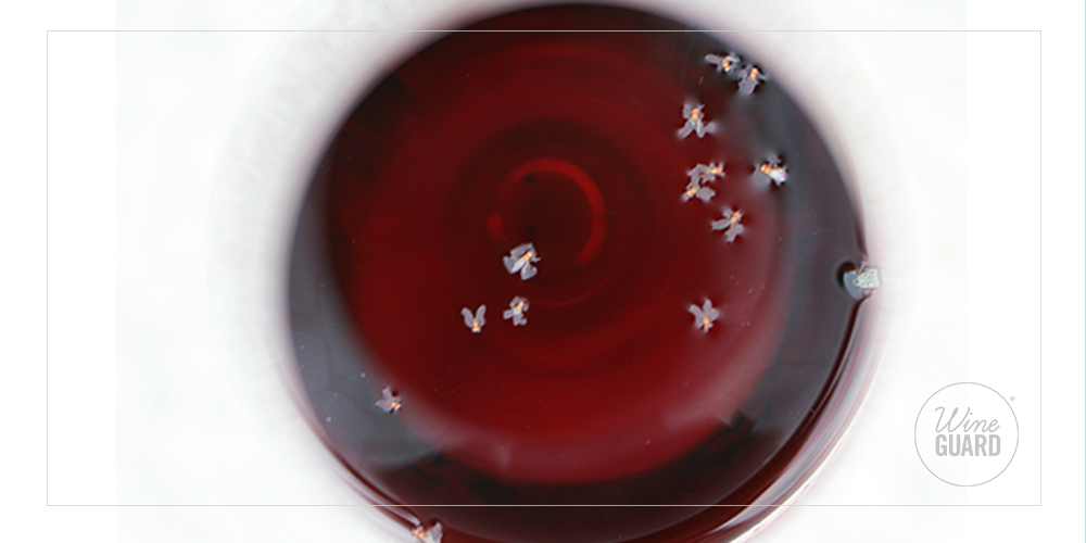 How Do I Keep Fruit Flies Out of My Wine? aerate wine, drink lid