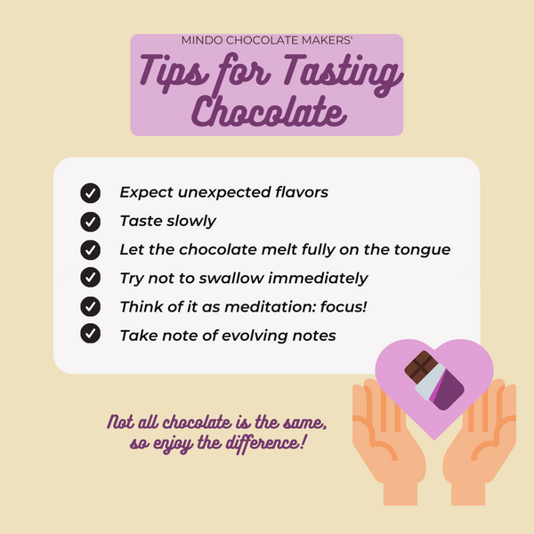 Mindo Chocolate Makers' Tips for Tasting Chocolate