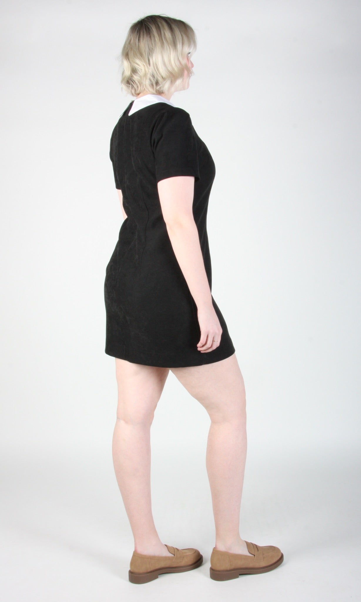 Birds of North America Peep Dress (Black)